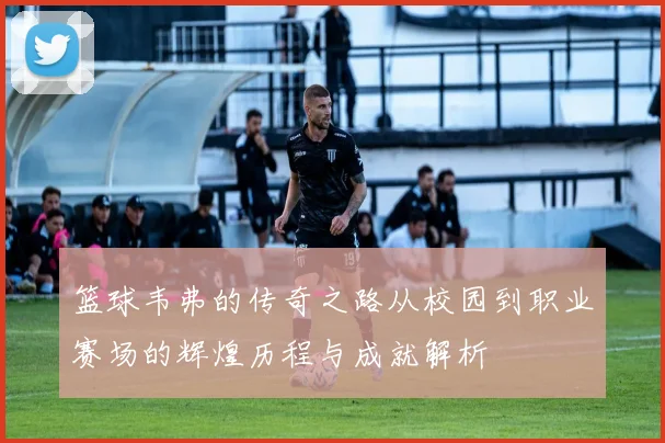 篮球韦弗的传奇之路从校园到职业赛场的辉煌历程与成就解析