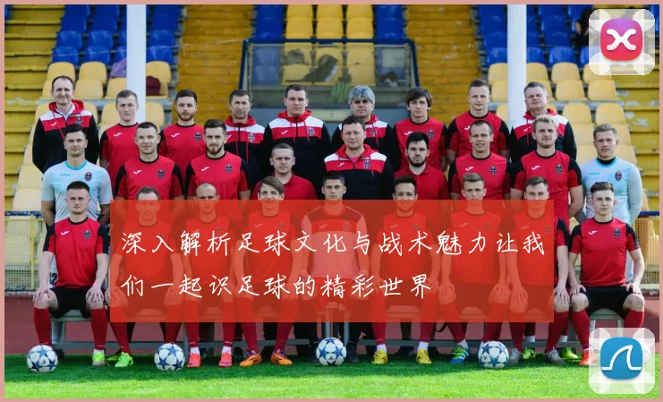 深入解析足球文化与战术魅力让我们一起识足球的精彩世界