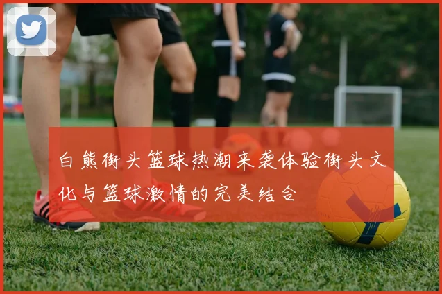白熊街头篮球热潮来袭体验街头文化与篮球激情的完美结合