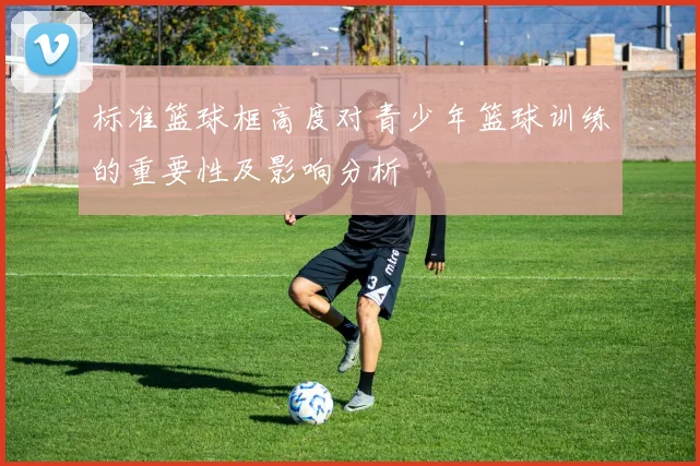 标准篮球框高度对青少年篮球训练的重要性及影响分析