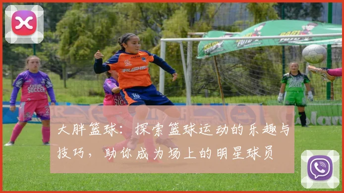 大胖篮球：探索篮球运动的乐趣与技巧，助你成为场上的明星球员